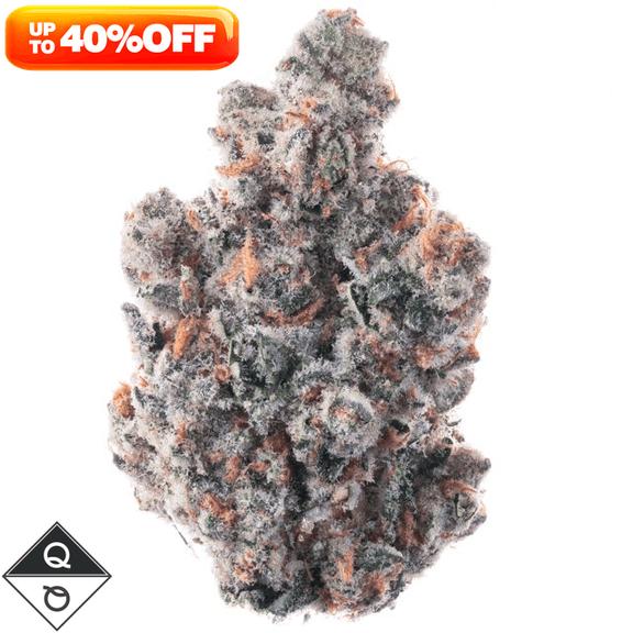 QUALITY OVER QUANTITY - Alien Orange Cookies Flower 3.5g