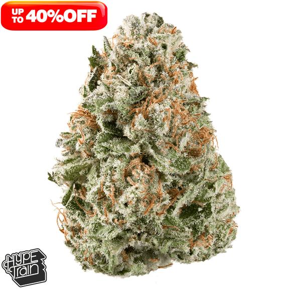 HYPE TRAIN - Lemon Kush Flower 14g
