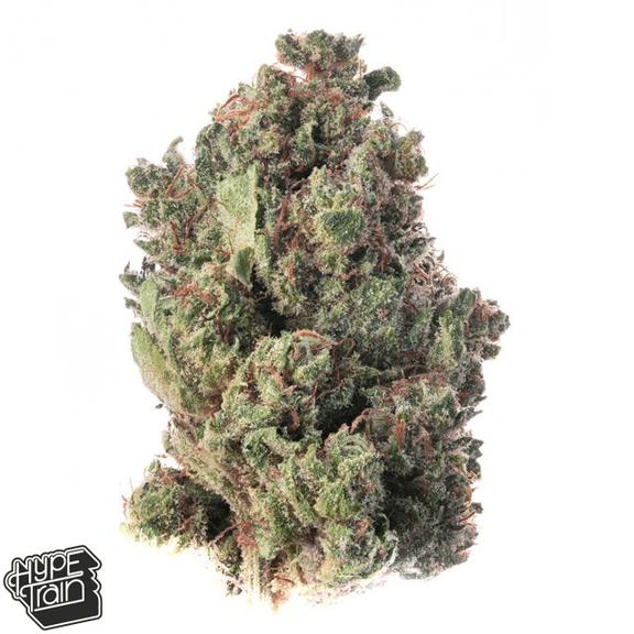 HYPE TRAIN - XJ-13 Flower 14g