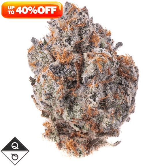 QUALITY OVER QUANTITY - Tropical Zkittlez Flower 14g