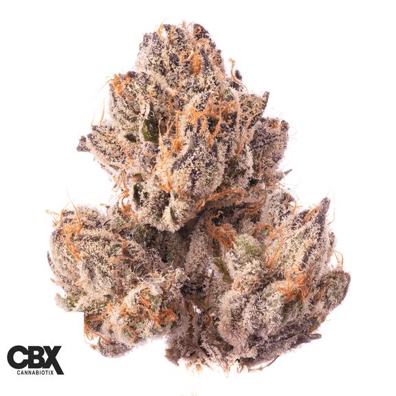 CANNABIOTIX - Blue Crush Flower 3.5g
