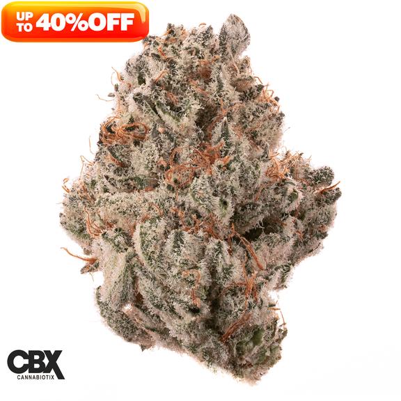 CANNABIOTIX - Whiteout Flower 3.5g