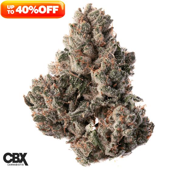 CANNABIOTIX - Private Reserve OG Flower 3.5g