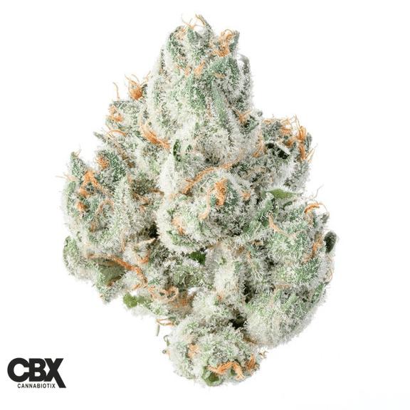 CANNABIOTIX - Grand Master Flower 3.5g