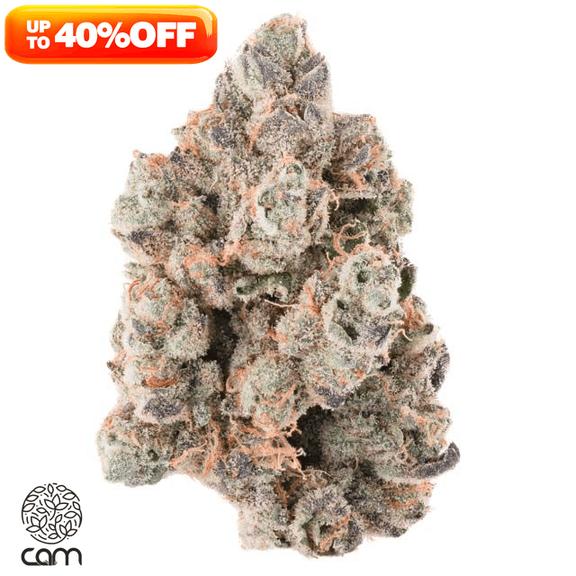 CAM - Bubba's Girl Flower 3.5g