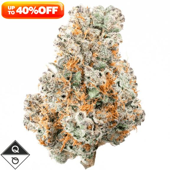QUALITY OVER QUANTITY - Snake Milk Flower 14g