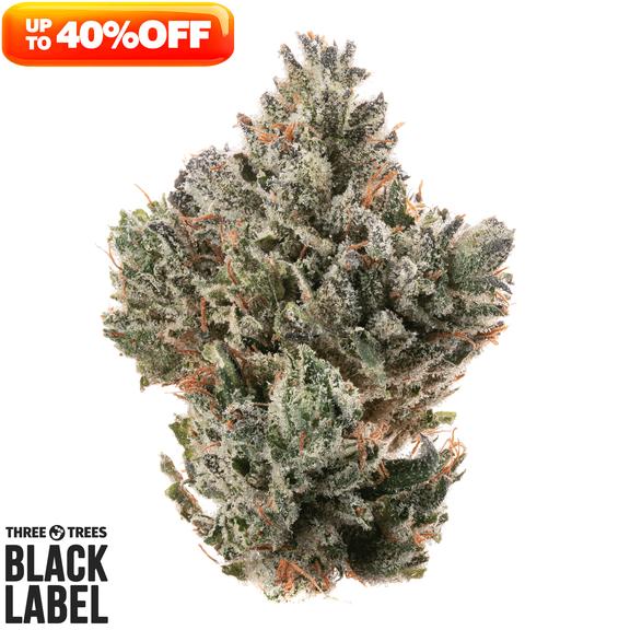 3T BLK LBL - Ice Cream Man #5 Flower 3.5g