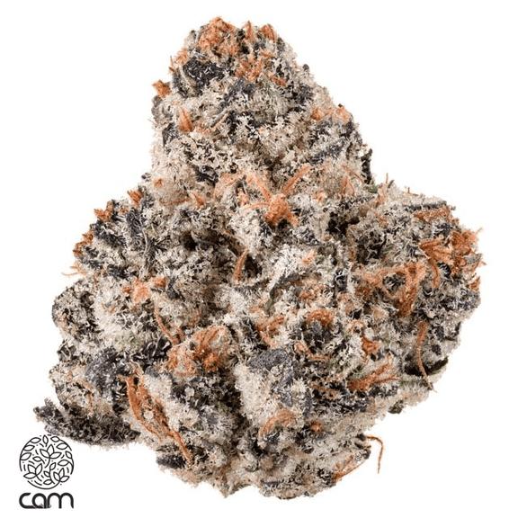 CAM - I-95 Cookies Flower 3.5g