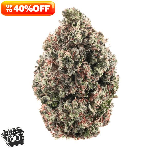 HYPE TRAIN - Key Lime Jack Flower 3.5g