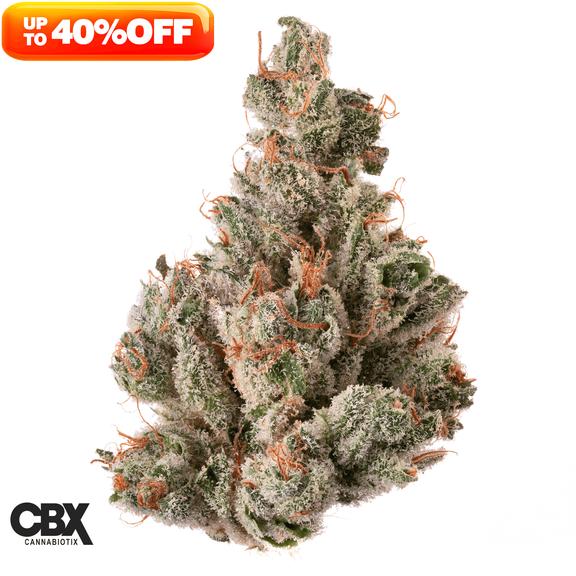 CANNABIOTIX - Super Mango Haze Flower 3.5g