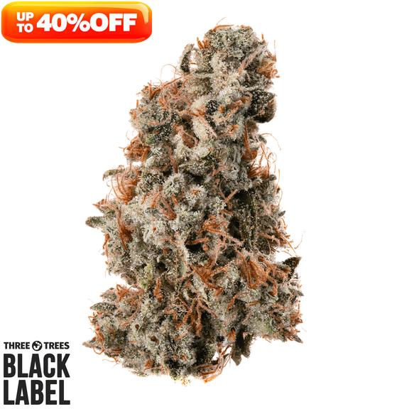 3T BLK LBL - Sour Haze Flower 3.5g