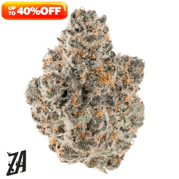 ZA - Lady ZAza GMO Sherbcrasher Flower 7g