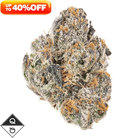 QUALITY OVER QUANTITY - Watermelon Martini Flower 14g