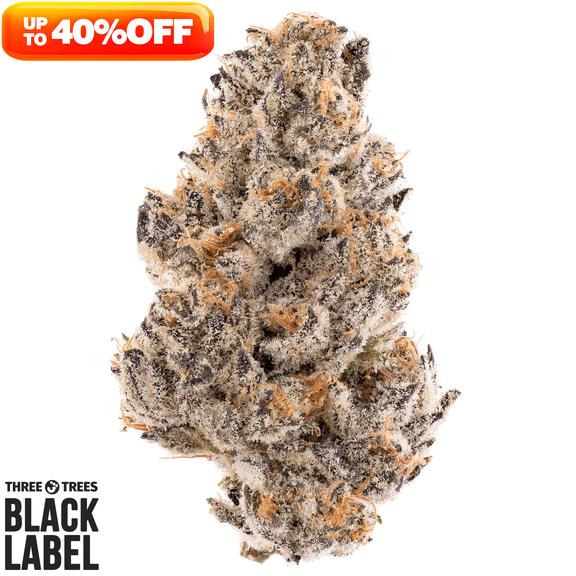 3T BLK LBL - Treasure Truffle Flower 3.5g