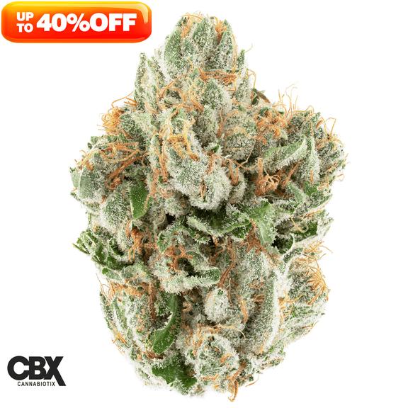 CANNABIOTIX - Zenergy Flower 3.5g