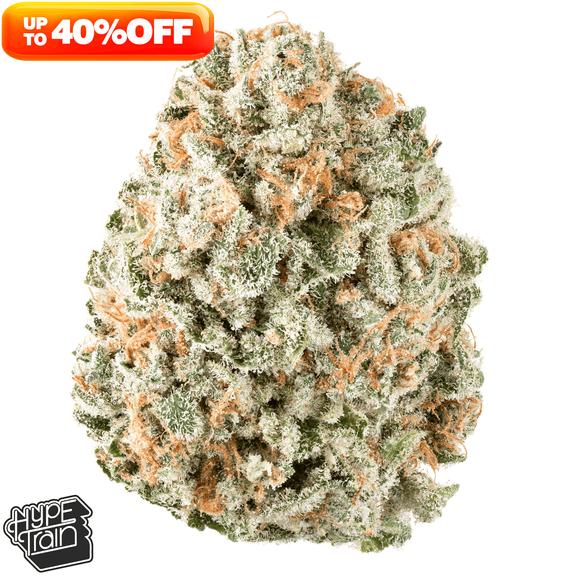 HYPE TRAIN - Super Jack Flower 14g