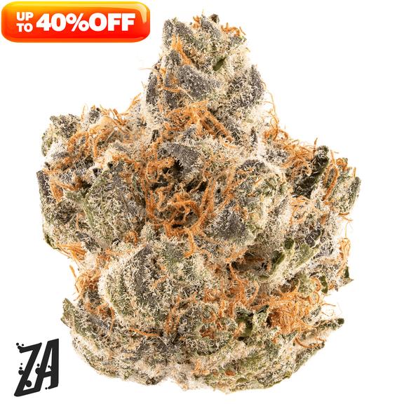 ZA - ZAylor Swift Grapescotch Flower 7g