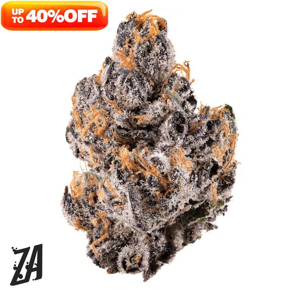 ZA - Iggy ZAzalea Mandarin Cookies Flower 7g