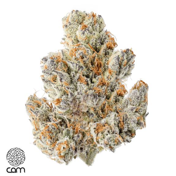 CAM - Devil Driver Flower 3.5g