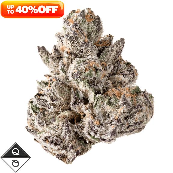 QUALITY OVER QUANTITY - Watermelon Lifesaver Flower 14g