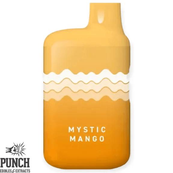 PUNCH - Mystic Mango AIO Vape 1g