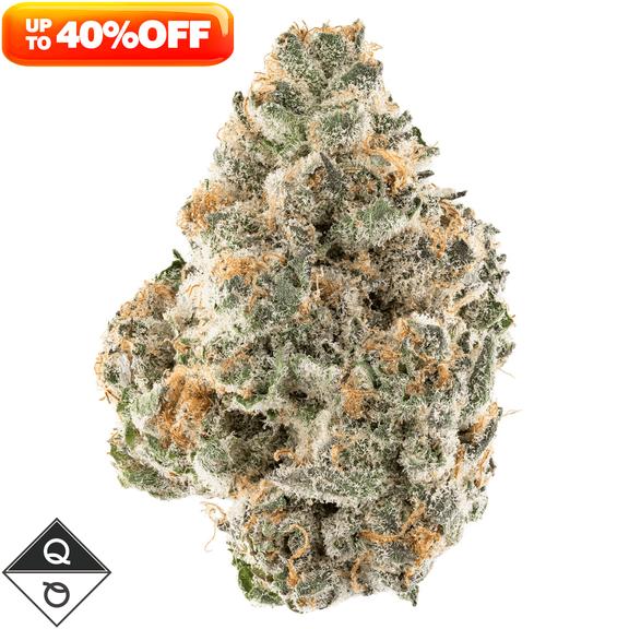 QUALITY OVER QUANTITY - Gotti Beltz Flower 3.5g