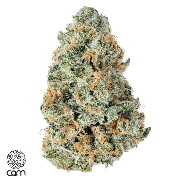 CAM - Super Silver Haze Flower 3.5g