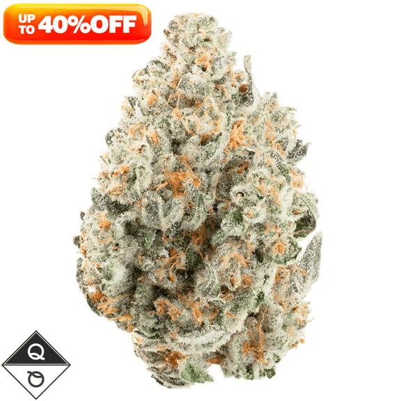 QUALITY OVER QUANTITY - Fat Kitty Flower 14g