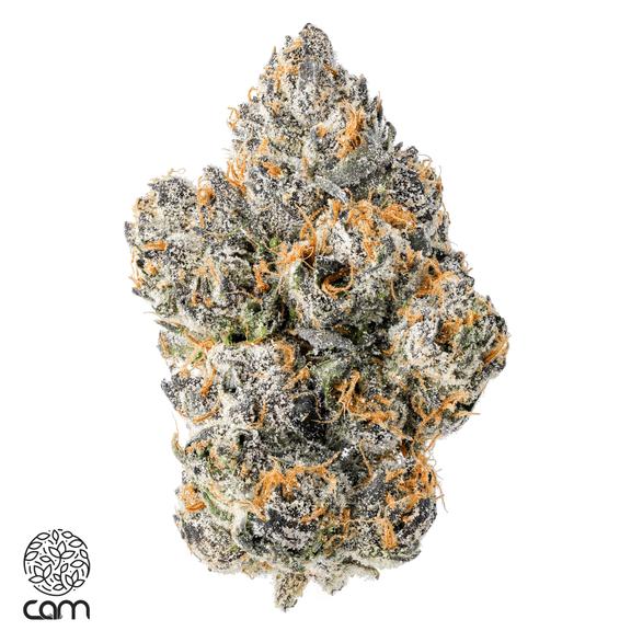 CAM - Blue Cookies Flower 3.5g