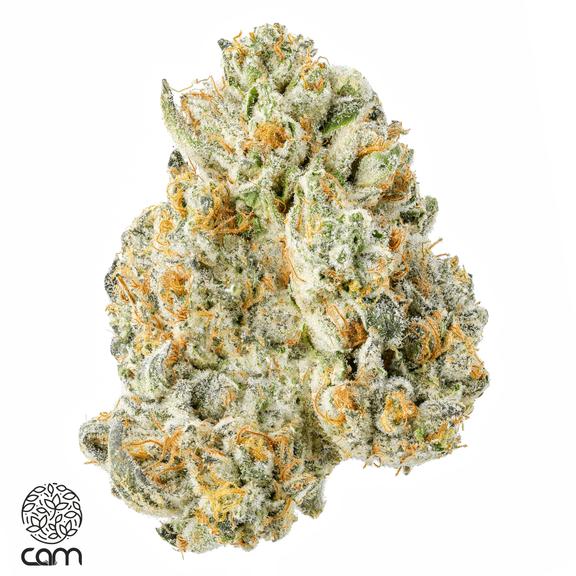 CAM - Scottie's Cake Flower 3.5g