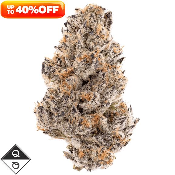 QUALITY OVER QUANTITY - Grapes and Cream Flower 14g