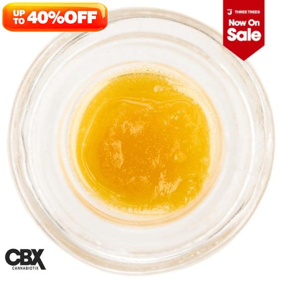 CANNABIOTIX - Bubble Gum Terp Sugar 1g