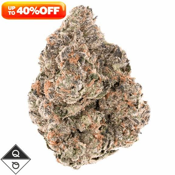 QUALITY OVER QUANTITY - GMO Sherbcrasher Flower 14g