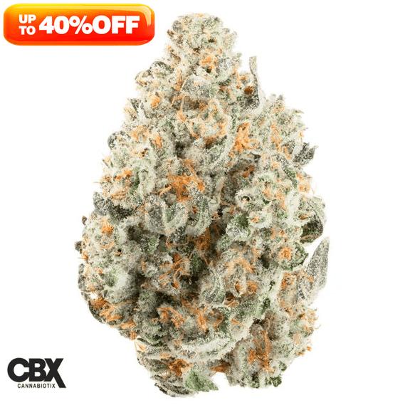 CANNABIOTIX - Mount Zereal Kush Flower 3.5g