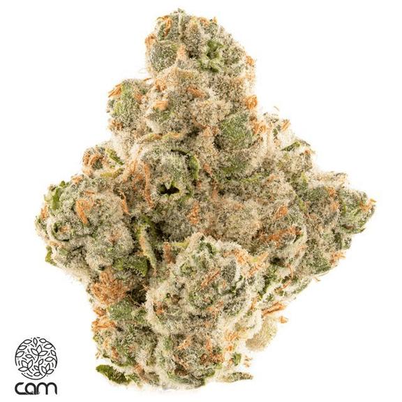 CAM - GG #4 Flower 3.5g