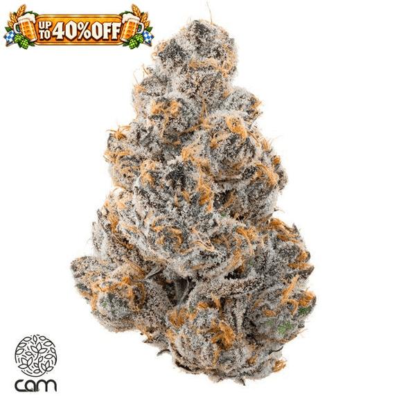 CAM - Cosmic Kush Flower 3.5g