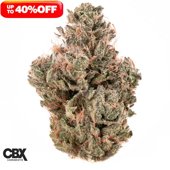 CANNABIOTIX - Jet Lag OG Flower 14g