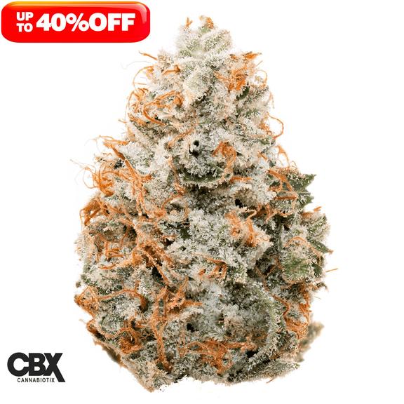 CANNABIOTIX - Tropicanna Flower 14g