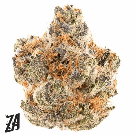 ZA - Iggy ZAzalea Pie Scream Flower 7g