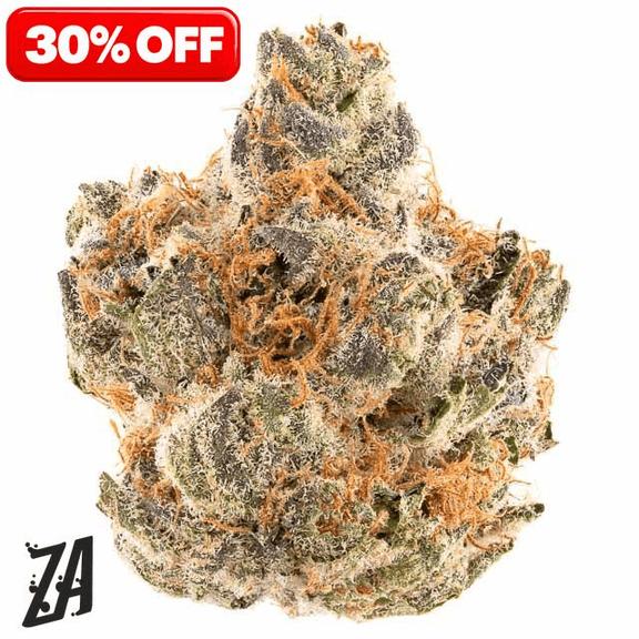 ZA - Iggy ZAzalea Pie Scream Flower 7g