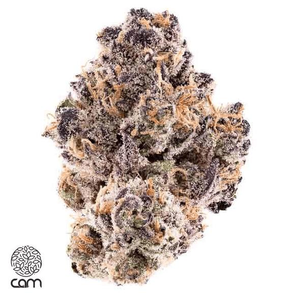 CAM - Mystery Machine Flower 3.5g