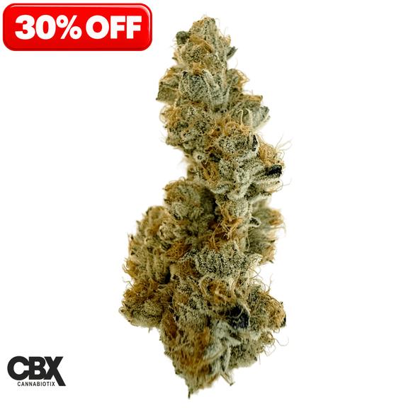 CANNABIOTIX - Cakewalk Flower 3.5g