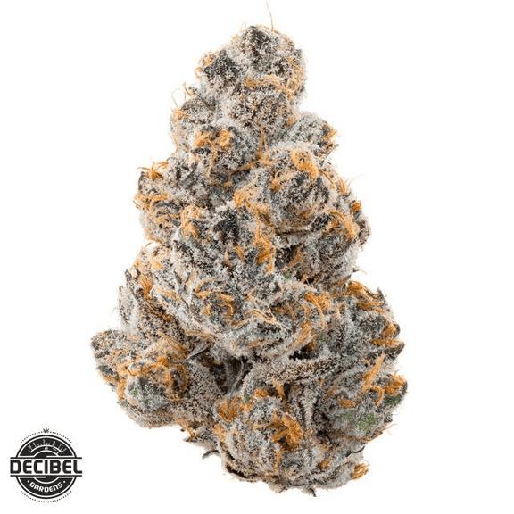 DECIBEL GARDENS - Alien Orange Flower 3.5g
