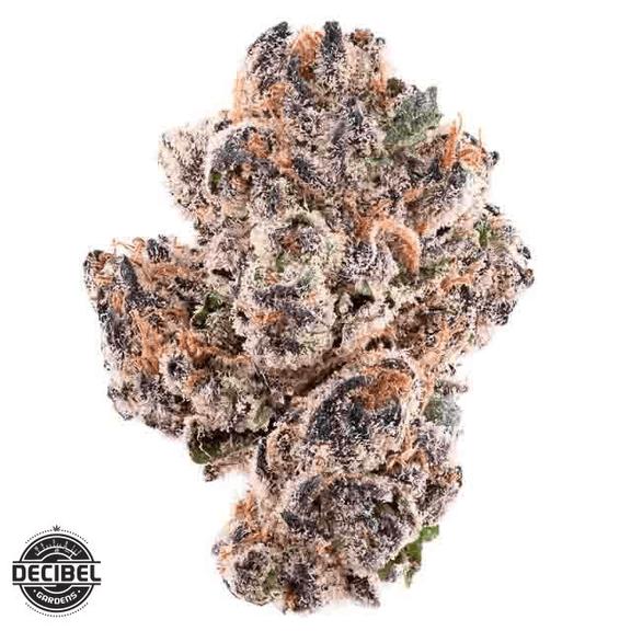 DECIBEL GARDENS - C-Note Flower 3.5g