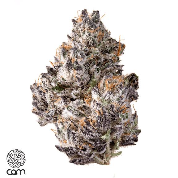 CAM - Coconut Milk Flower 3.5g