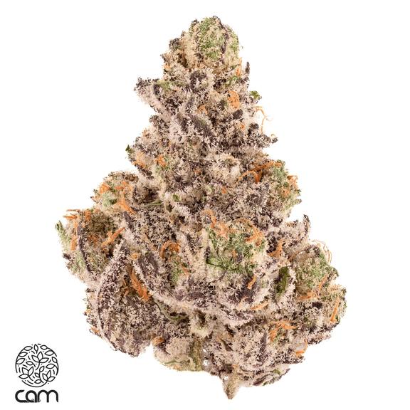 CAM - Orange Julius Flower 3.5g