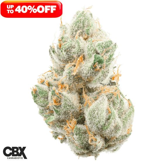 CANNABIOTIX - GM-uhOh Flower 14g