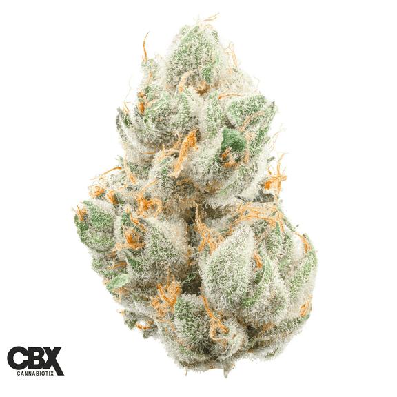 CANNABIOTIX - GM-uhOh Flower 14g