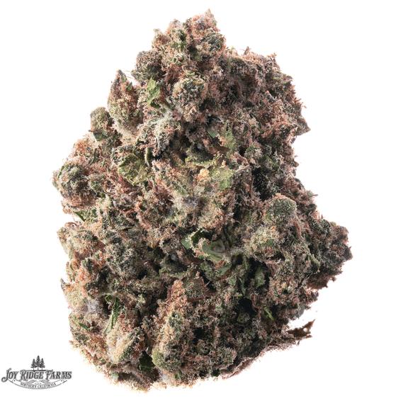 JOY RIDGE FARMS - Government Oasis Flower 14g