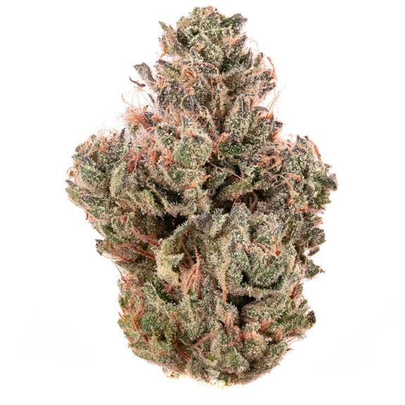 3T BLK LBL - Sour Runtz Flower 3.5g